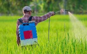 Tiếp xúc với thuốc trừ sâu có thể gây bệnh Parkinson