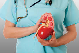 8 cách tự nhiên giúp cải thiện chức năng thận