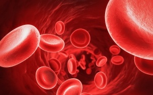 8 loại thực phẩm giúp cải thiện lưu thông máu