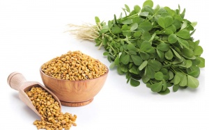 5 thực phẩm phụ nữ sau sinh nên ăn để nhiều sữa 