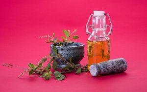 Chỉ dẫn dùng hương nhu tía vườn nhà để phòng bệnh