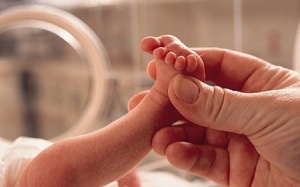 Trẻ sinh non điều trị estrogen giúp ngăn ngừa bệnh về tâm thần