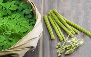 Chùm ngây tốt cho thận như thế nào?