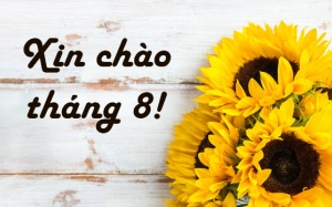 Tử vi tháng 8/2018: Song Ngư sẽ thăng tiến trong sự nghiệp