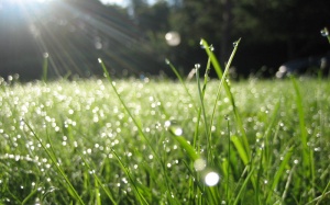 Bắc Bộ giảm mưa, trời hửng nắng nhẹ