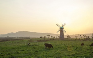 Vinamilk mở rộng đầu tư vào miền Tây Nam bộ