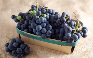Nho Concord tốt cho sức khỏe như thế nào?