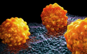 Phát hiện thuốc mới có thể khiến tế bào ung thư 'ngủ' vĩnh viễn