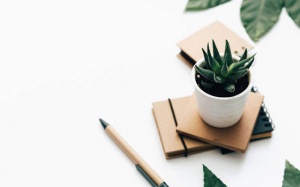 Tử vi thứ Ba (7/8/2018): Ma Kết nên cố giữ bình tĩnh, tập trung vào công việc