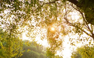 Bắc Bộ oi nóng, Nam Bộ mưa nhiều