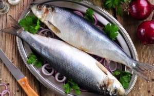 5 lợi ích tuyệt vời khi ăn cá trích
