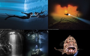 Ảnh dưới nước qua lăng kính thợ lặn chuyên nghiệp đẹp nhất năm 2018