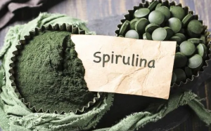 Tảo Spirulina có tác dụng gì mà nhiều người ưa thích đến thế?