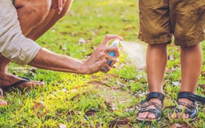 DEET là gì và những điều cần biết về hợp chất chống muỗi này?