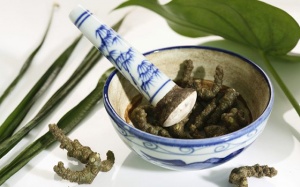 Thực phẩm chức năng nào giúp tăng cường ham muốn cho đôi lứa?