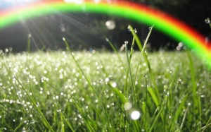 Bắc Bộ giảm mưa, trời hửng nắng nhẹ