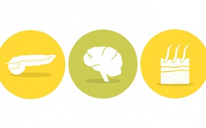 3 bệnh ung thư hiếm gặp nhưng dễ chết người vì khó phát hiện sớm