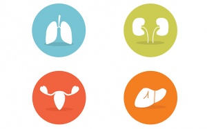 4 căn bệnh ung thư thường gặp nhưng khó phát hiện sớm