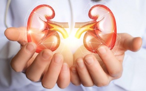 Bổ sung vitamin B3 - hy vọng mới trong điều trị tổn thương thận cấp tính