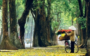 Bắc Bộ mưa rải rác về đêm, ngày oi nóng