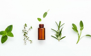 Infographic: 6 loại tinh dầu giúp làm mờ sẹo