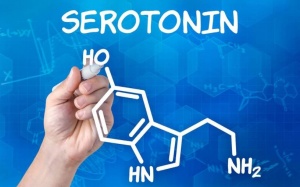 6 thực phẩm bạn nên ăn để cảm thấy hạnh phúc hơn