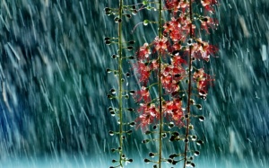 Mưa giảm dần ở Bắc Bộ và Trung Bộ từ chiều mai