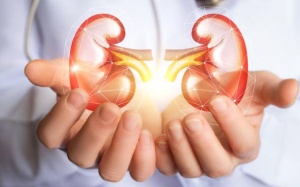 5 loại thực phẩm giúp thận khỏe mạnh hơn