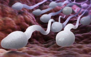 5 điều nên làm để giúp 'tinh binh' khỏe mạnh