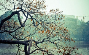 Bắc Bộ se lạnh từ ngày 7/9 