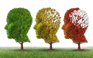 5 cách giúp làm chậm tiến triển của bệnh Alzheimer
