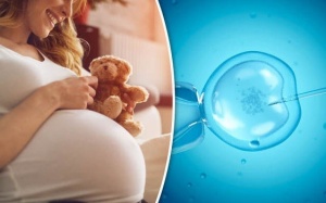 Muốn thụ tinh ống nghiệm thành công: Hãy tuân theo chế độ ăn Địa Trung Hải! 