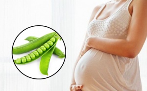 Vì sao phụ nữ mang thai nên ăn đậu Hà Lan?