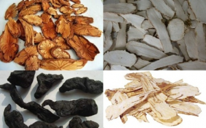 Top 3 bài thuốc Đông y có tác dụng bổ khí huyết cho phụ nữ hiệu quả nhất