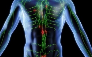 5 loại trà nên uống để làm sạch hệ bạch huyết