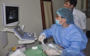 Gia tăng bệnh nhân mắc u tuyến giáp: 9 tháng tiếp nhận 400 ca