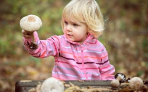 Top 15 thực phẩm giàu niacin giúp bạn khỏe mạnh toàn diện