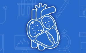 Có thể điều trị triệt để rung nhĩ hay không?