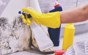 Các biện pháp tự nhiên giúp diệt nấm mốc trong nhà