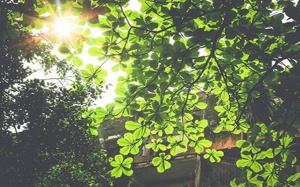 Bắc Bộ nắng ráo trong 4 - 5 ngày tới