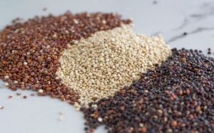 Vì sao bạn nên ăn quinoa?