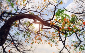 Nắng nóng ở Bắc Bộ dịu dần, trời chuyển mát