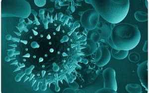 Virus hợp bào hô hấp RSV là gì, có nguy hiểm không?