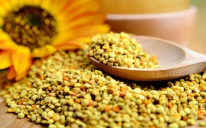 Ăn phấn ong giúp tăng khả năng sinh sản? 