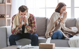 5 cách để giữ cho ngôi nhà không bị ô nhiễm không khí