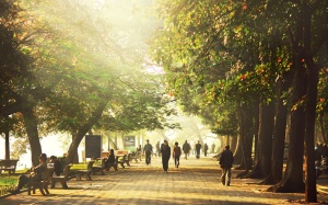 Bắc Bộ hửng nắng, Trung Bộ mưa dông diện rộng