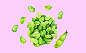 Sử dụng tinh chất mầm đậu nành thế nào mới làm đẹp da hiệu quả?