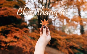 Tử vi tháng 10/2018: Thiên Bình đang có sức khỏe tuyệt vời trong tháng này!