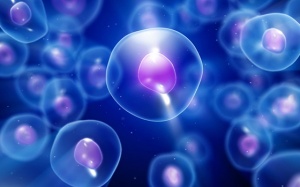 Thử nghiệm điều trị Parkinson bằng các tế bào gốc tái lập trình