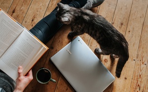 Tử vi thứ Ba (2/10/2018): Nhân Mã, hãy tận hưởng ngày nghỉ bất ngờ của mình